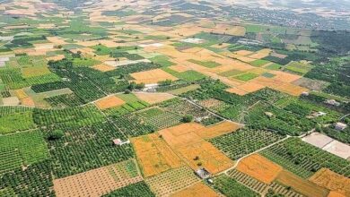 ۷۷درصد اراضی کشاورزی کشور حد نگاری شد
