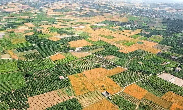 5016260.jpg