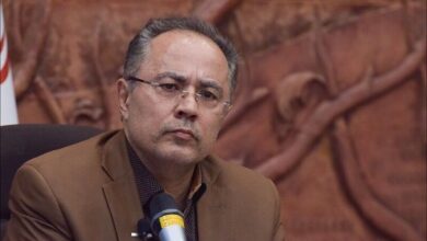 اولین واکنش به شایعه سفر معاون پزشکیان به قطب جنوب