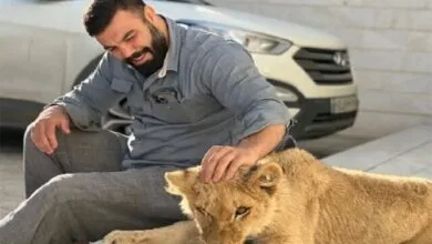 پایگاه اطلاع رسانی ایران