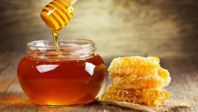 پایگاه اطلاع رسانی ایران