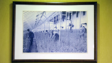 نخستین محل  پرورش گل و گیاه تهران