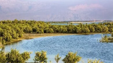 پایگاه اطلاع رسانی ایران