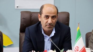 شوراها  بازوان توانمند مدیران شهرستان دشتی باشند