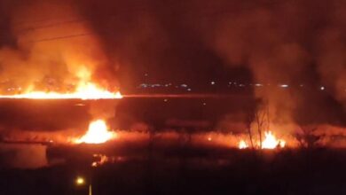 آتش سوزی نیزارهای دریاچه زریبار