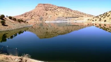 پایگاه اطلاع رسانی ایران