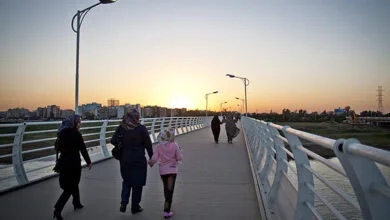62446285.jpg