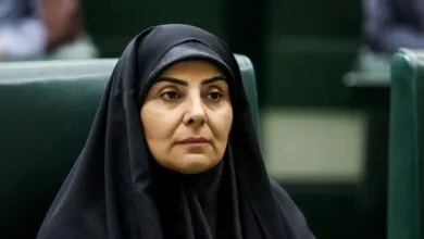 انتقاد وزیر راه از گران شدن بلیت هواپیما/ باید مجوز ایرلاینهایی که پاسخگو نیستند باطل شود