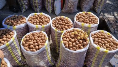 محکومیت قاچاقچیان کالا در همدان