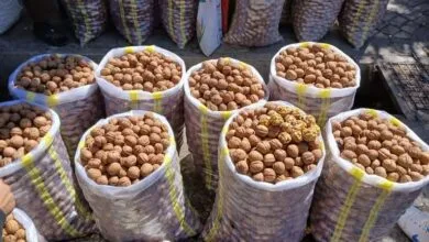 پایگاه اطلاع رسانی ایران