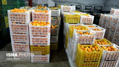 پایگاه اطلاع رسانی ایران