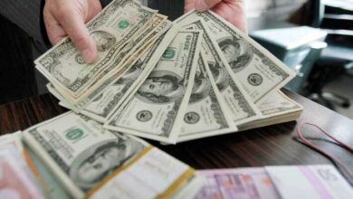 افزایش نرخ ارز و طلا ناشی مسائل خارجی است/ سیاست های داخلی بی تاثیر است