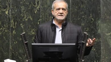 طباطبایی: رئیس جمهور برای نجات ایران تنها نخواهد ماند