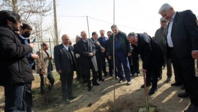 کاشت نهال به یاد «امیر محمد خالقی» در دانشگاه تهران