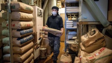 افزایش هشت برابری صادرات برنج ژاپن