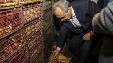 ذخیره میوه شب عید در آذربایجان‌شرقی به میزان کافی است