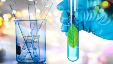 چالش‌ها و فرصت‌های تحصیل در رشته‌های علمی در ایران