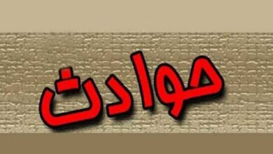 سقوط درخت در پارک جنگلی نور جان گرفت