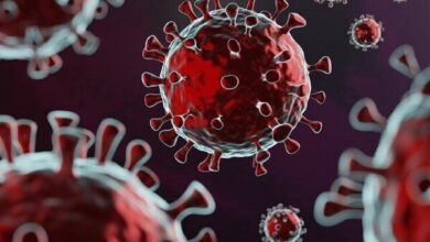 چرا زنان باردار کمتر به کووید مبتلا می‌شوند؟