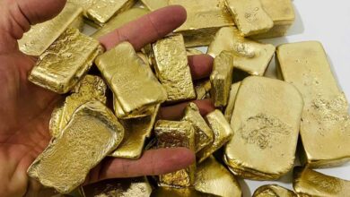 بازار طلا به کدام سو می‌رود؟ | سودآوری سال قبل تکرار می‌شود؟
