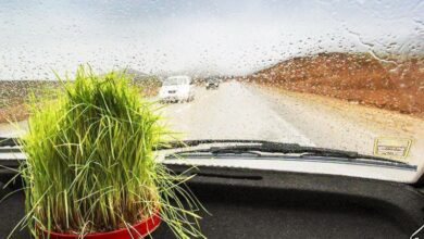 سیزده به در بارانی است | جزئیات فعالیت سامانه بارشی جدید