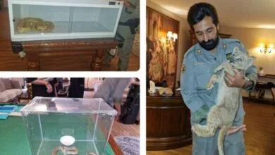 پایگاه اطلاع رسانی ایران