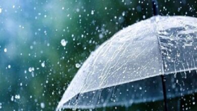 احتمال وقوع بارش‌های پراکنده در استان بوشهر