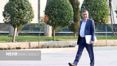 قائم پناه: قانون تابعیت قهری فی نفسه منطقی نیست