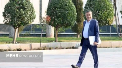 قائم پناه: قانون تابعیت قهری فی نفسه منطقی نیست قائم پناه: قانون تابعیت قهری فی نفسه منطقی نیست