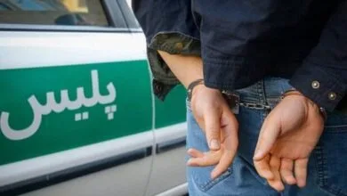 پایگاه اطلاع رسانی ایران