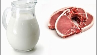 آوردن کالای گوشتی و لبنی همراه مسافران به انگلیس ممنوع شد آوردن کالای گوشتی و لبنی همراه مسافران به انگلیس ممنوع شد