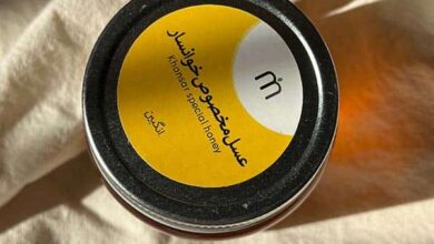 از کندوهای خوانسار تا سفره شما؛ طعم اصیل و سلامتی با عسل‌های میوه چی