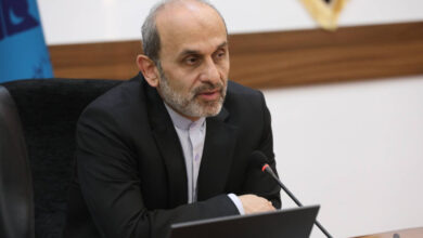 جبلی:«ایران جان» به چالش‌های استان‌ها می‌پردازد