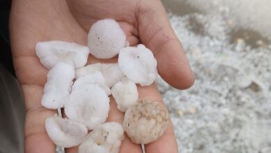 بارش شدید تگرگ بهاری در پیرانشهر