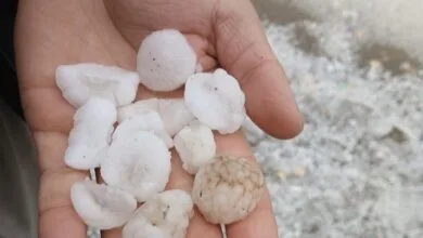پایگاه اطلاع رسانی ایران