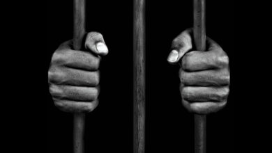 تماسی مشکوک با وکیل تازه کار؛ تله یا کمک؟