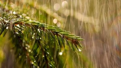 دمای هوای استان زنجان کاهش می یابد/صدور هشدار سطح نارنجی