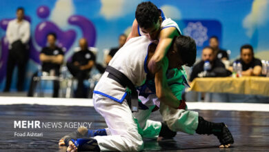 نفرات برتر مسابقات انتخابی تیم ملی MMA مشخص شدند