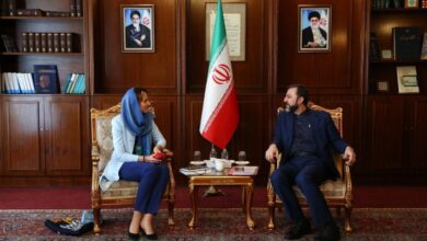 غریب‌آبادی: تحریم‌های یکجانبه ناقض حقوق بشر هستند