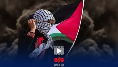 بررسی مسئله فلسطین در دیدار وزرای خارجه ایران و مصر