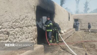 حادثه در دامداری جلیل‌آباد؛ بیش از ۳۰ رأس دام در آتش سوختند