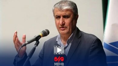 پاسخ ایران به قطعنامه شورای حکام، عملیاتی و فوری خواهد بود