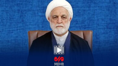 اژه‌ای: ترامپ برای خودش شخصیت قائل نیست