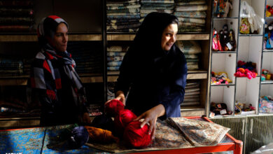 بهزیستی گلستان به سمت توانمندسازی اقشار آسیب‌پذیر حرکت می‌کند