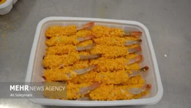 پایگاه اطلاع رسانی ایران