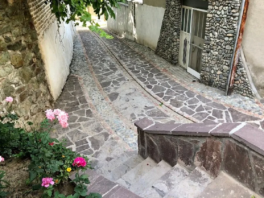 5349215.jpg
