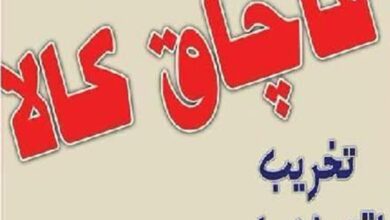 انبار کالای قاچاق در دشتستان پلمب شد