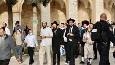 ۶۶ درصد صهیونیست‌ها امید به آینده را از دست داده‌اند