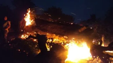 پایگاه اطلاع رسانی ایران