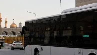 5514679.jpg